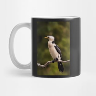 Little Pied Cormorant Mug